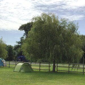 Free-range: grass, no electric – choose your spot on arrival
